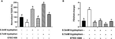 Tryptophan Ameliorates Barrier Integrity and Alleviates the Inflammatory Response to Enterotoxigenic Escherichia coli K88 Through the CaSR/Rac1/PLC-γ1 Signaling Pathway in Porcine Intestinal Epithelial Cells